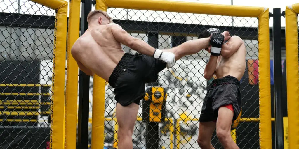 MMA Guide Complet Du Mixed Martial Arts Univers Boxe mma-guide-complet-du-mixed-martial-arts-univers-boxe