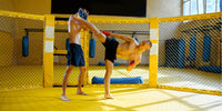 Boxeurs qui ont réussi en MMA : le Top 10 des transitions réussies